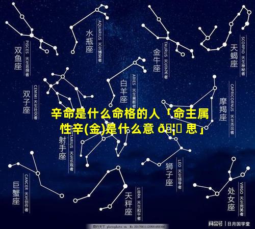 辛命是什么命格的人「命主属性辛(金)是什么意 🦉 思」